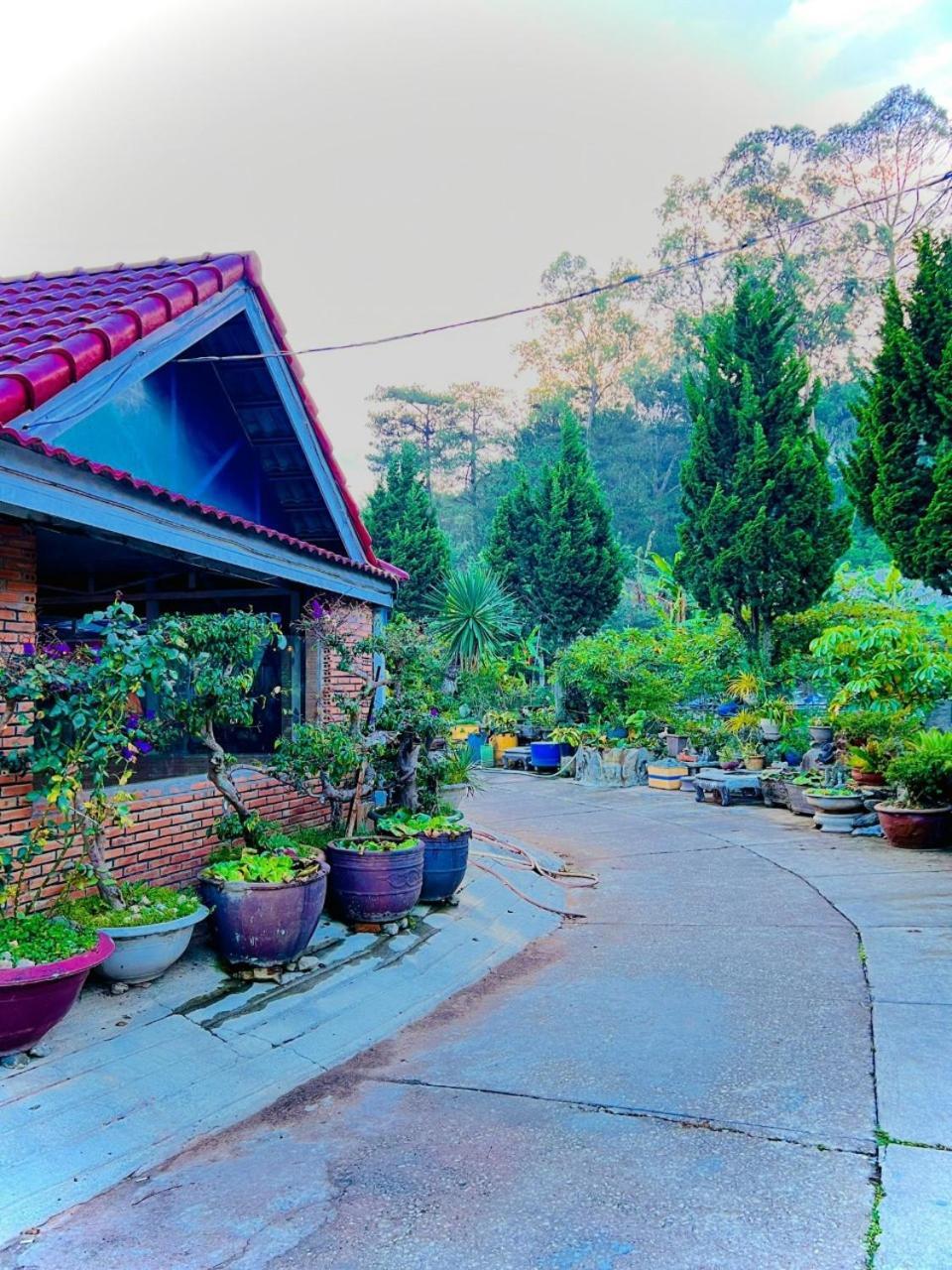 Hoa Chuong - Villa - Homestay Dalat Exterior foto